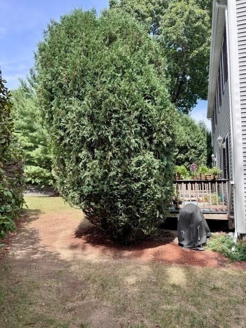 Condominium at 13 Waltham Dr # 13, Plainville MA 02762, Plainville, photo 31 of 36