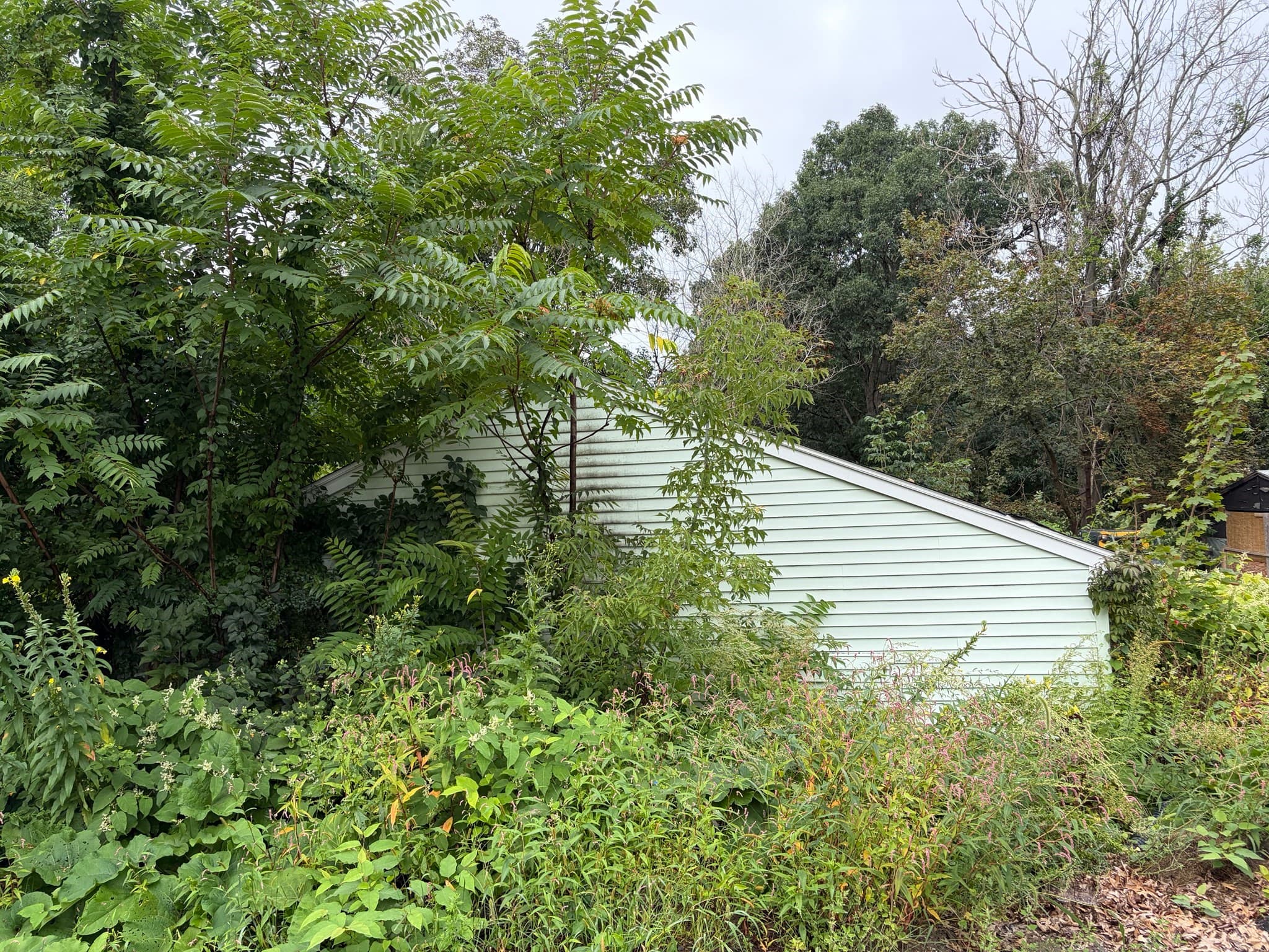 Residential at 25-27 Maranda Street, Worcester MA 01604, Worcester, photo 3 of 5