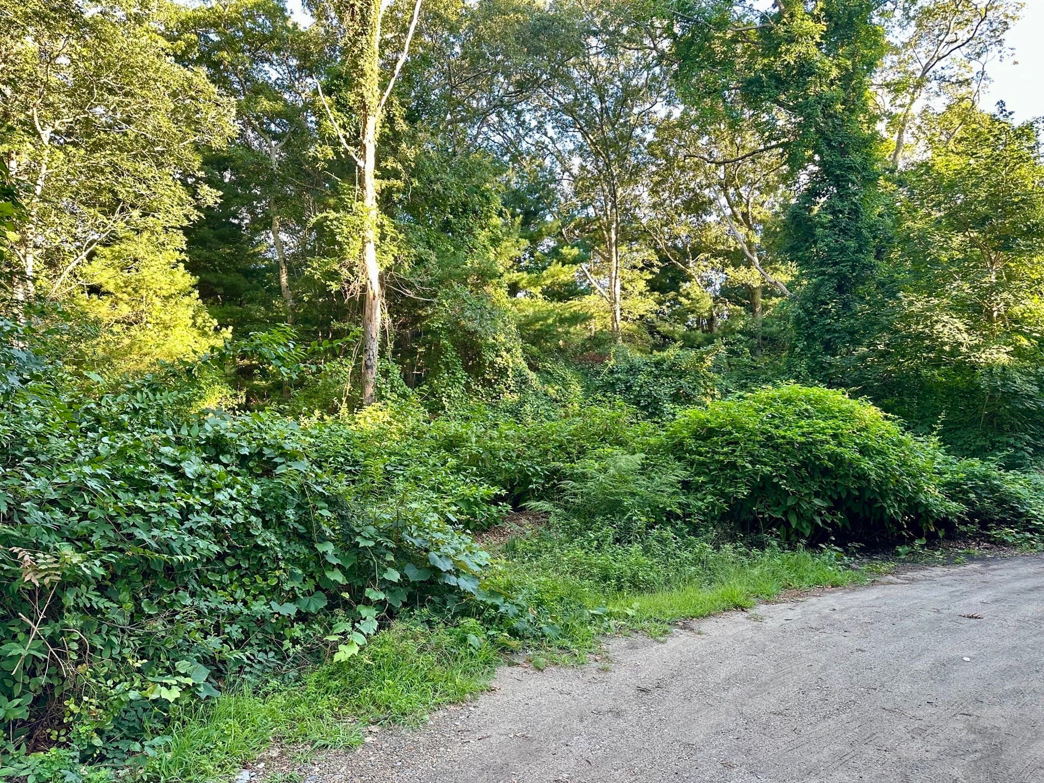 Residential at 0 Old Country Lane, Tisbury MA 02568, photo 2 of 4