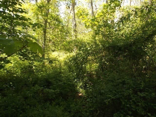 Residential at 0 Old Country Lane, Tisbury MA 02568, photo 4 of 4