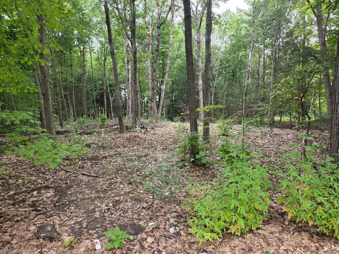 97-LOT Petersham Road, Athol MA 01331