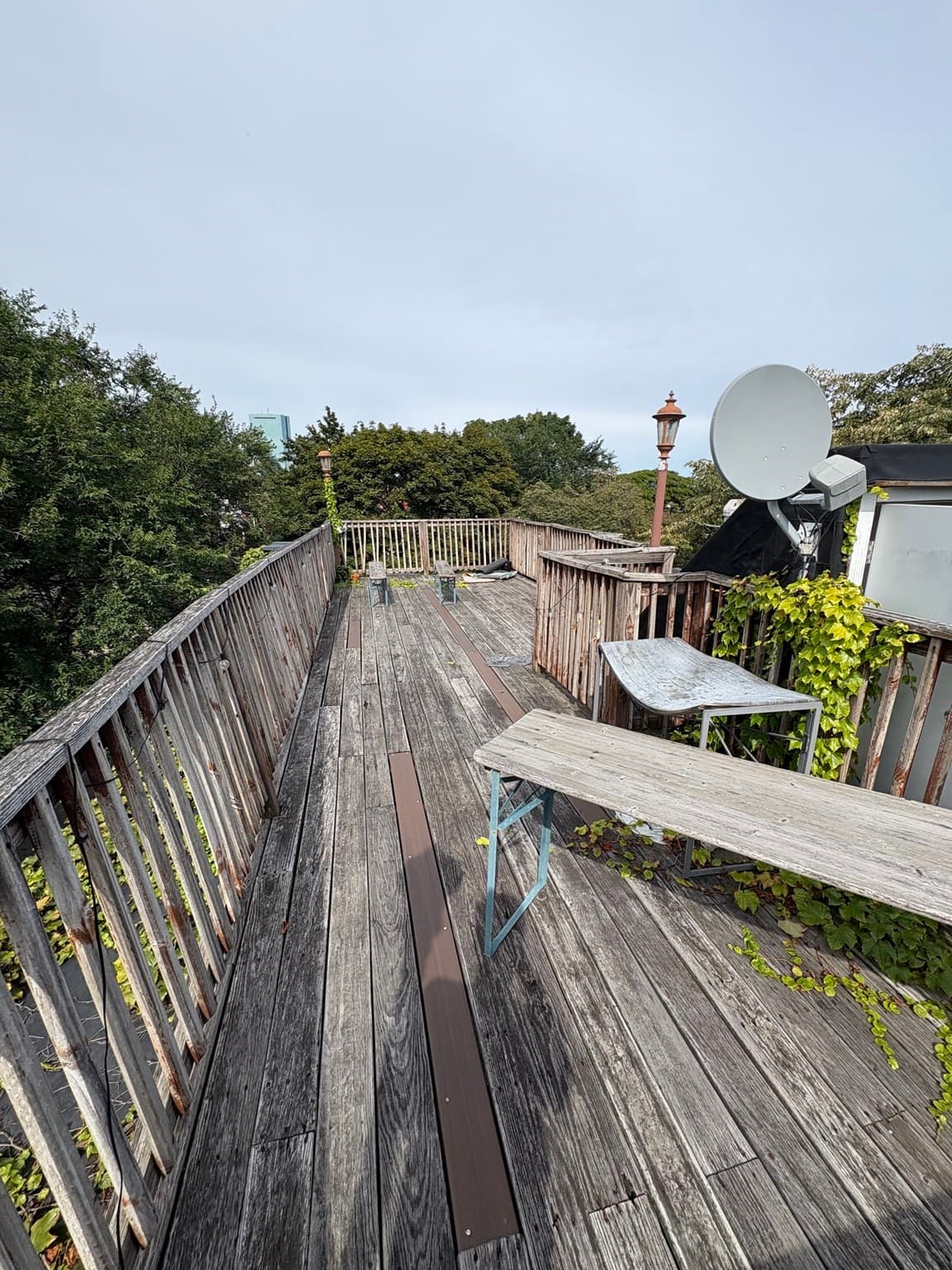 Single Family Residence at 32 Warwick Street, Boston MA 02120, Boston, photo 37 of 42
