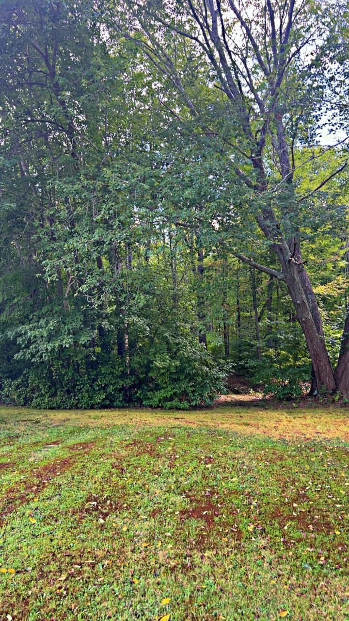 Residential at 0 Bark Street, Swansea MA 02777, photo 3 of 4