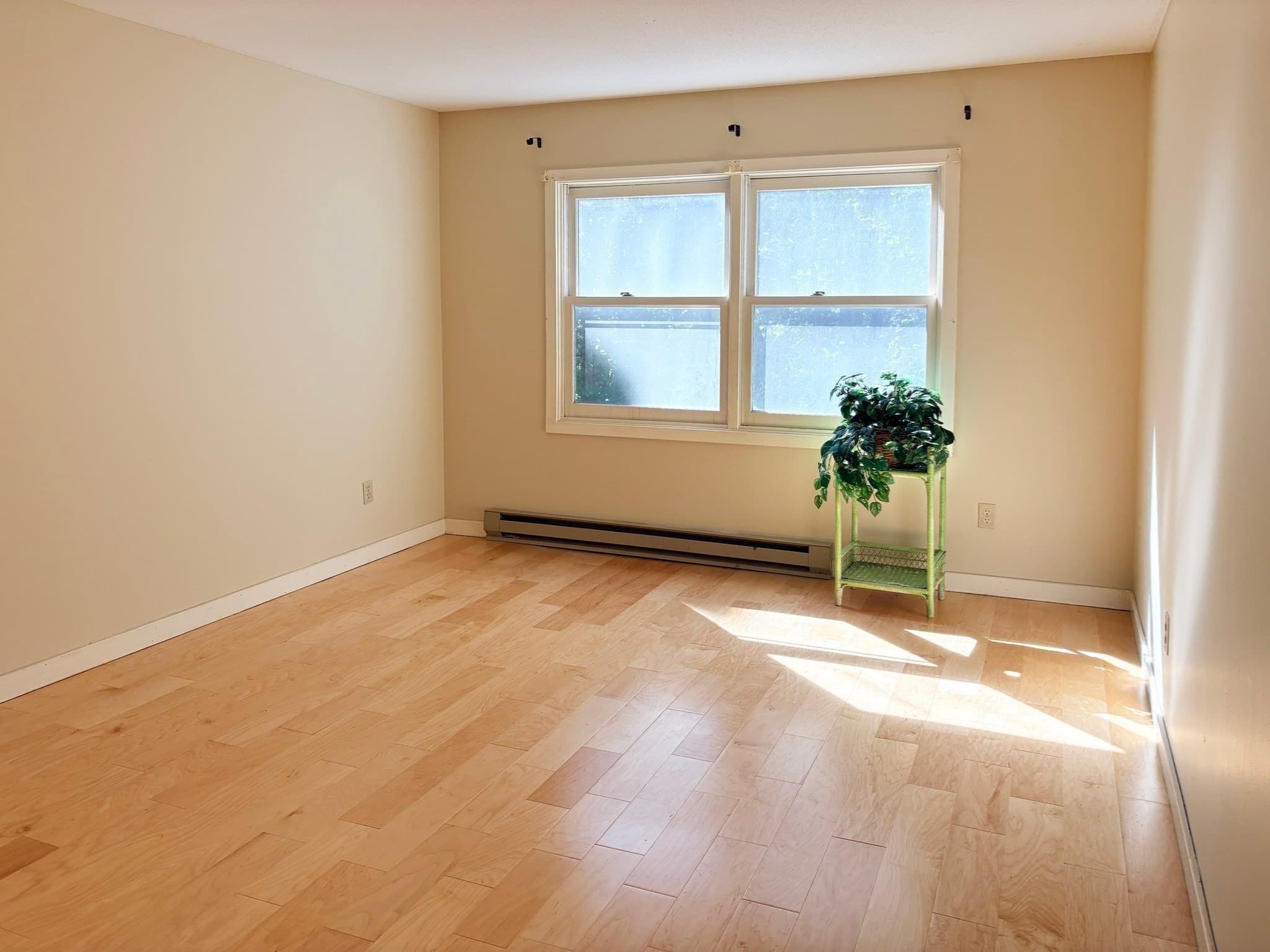 Condominium at 44 Evergreen Rd # 202, Northampton MA 01053, Northampton, photo 22 of 32