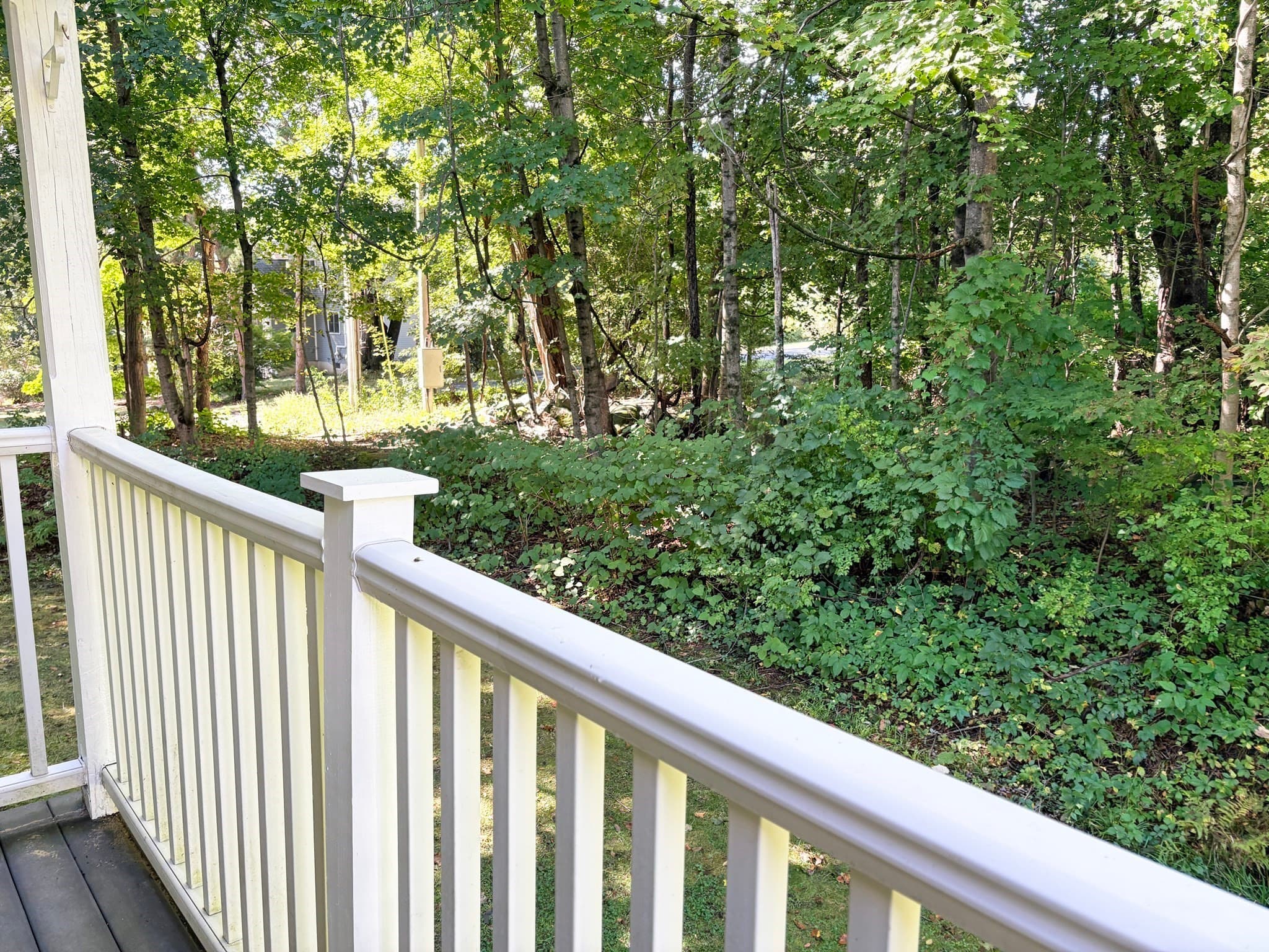 Condominium at 44 Evergreen Rd # 202, Northampton MA 01053, Northampton, photo 9 of 32