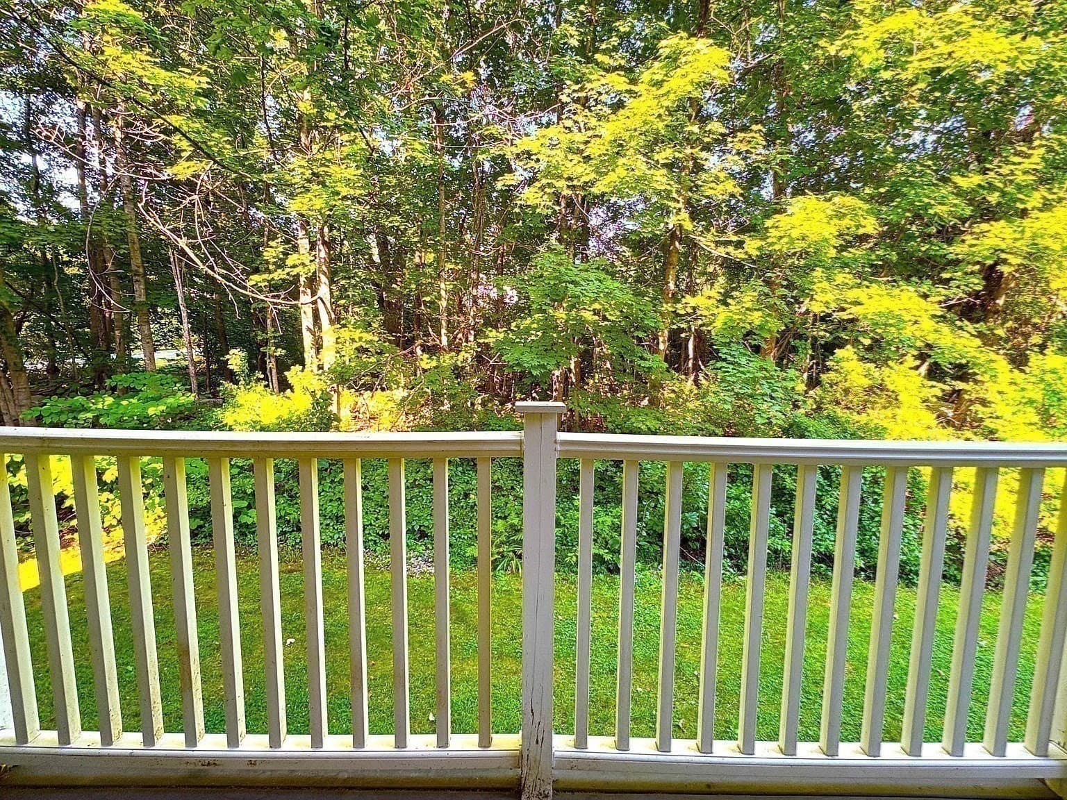 Condominium at 44 Evergreen Rd # 202, Northampton MA 01053, Northampton, photo 8 of 32