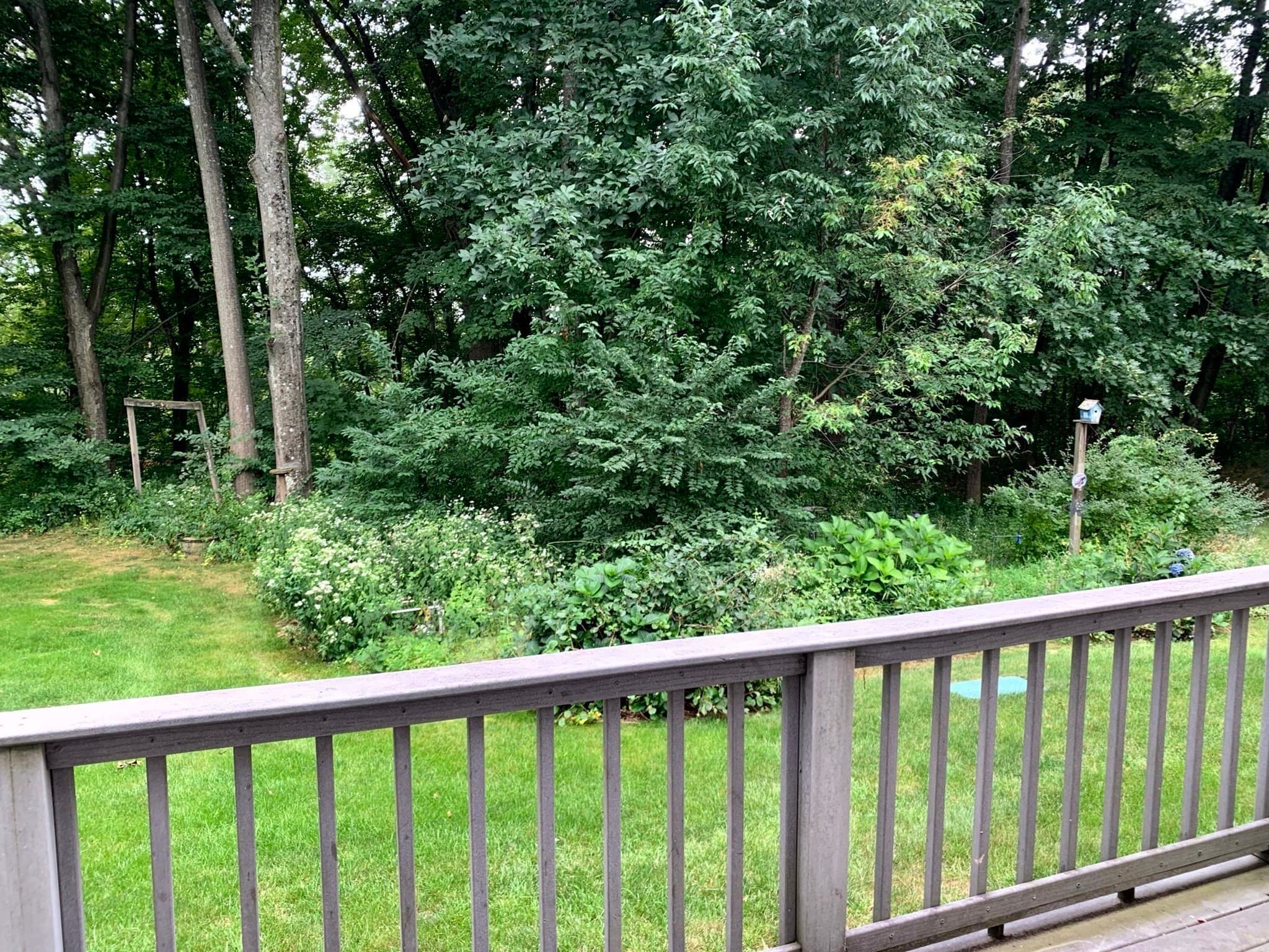 Condominium at 283 Fuller Rd # T, Chicopee MA 01020, Chicopee, photo 26 of 35