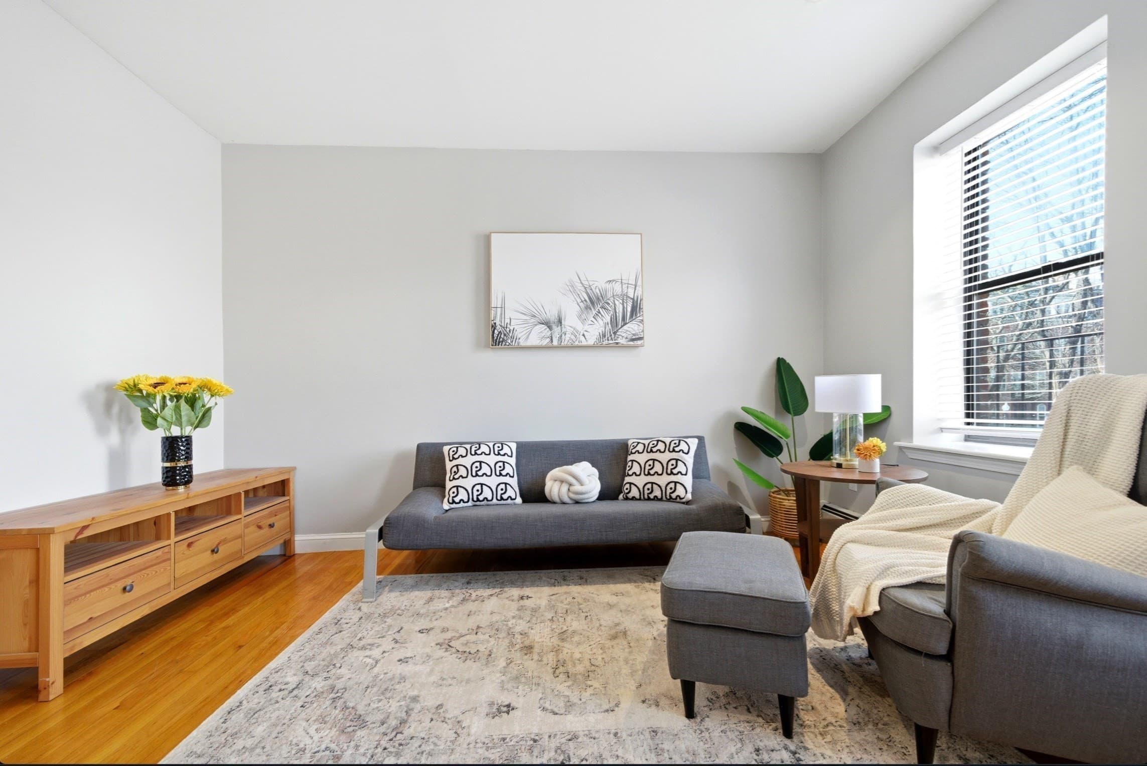 Condominium at 469 Shawmut Ave # 1, Boston MA 02118, photo 5 of 17