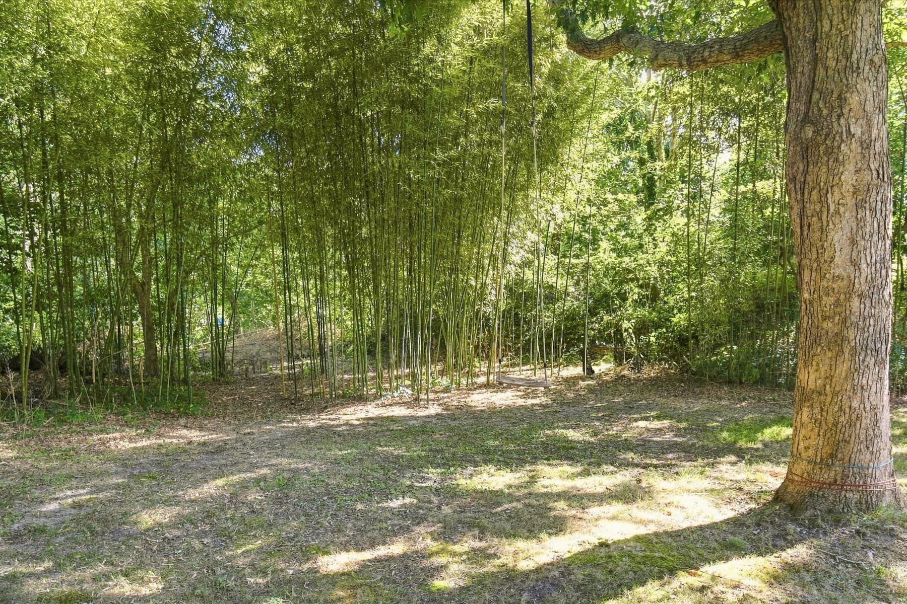 Single Family Residence at 365 Chequessett Neck Rd, Wellfleet MA 02667, photo 7 of 35