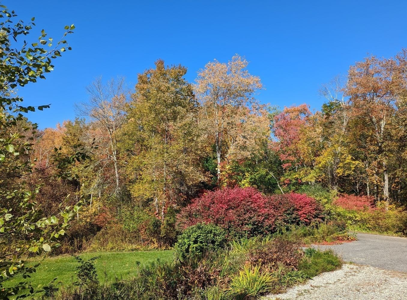 Single Family Residence at 131 Lincoln Rd, Lincoln MA 01773, Lincoln, photo 41 of 42
