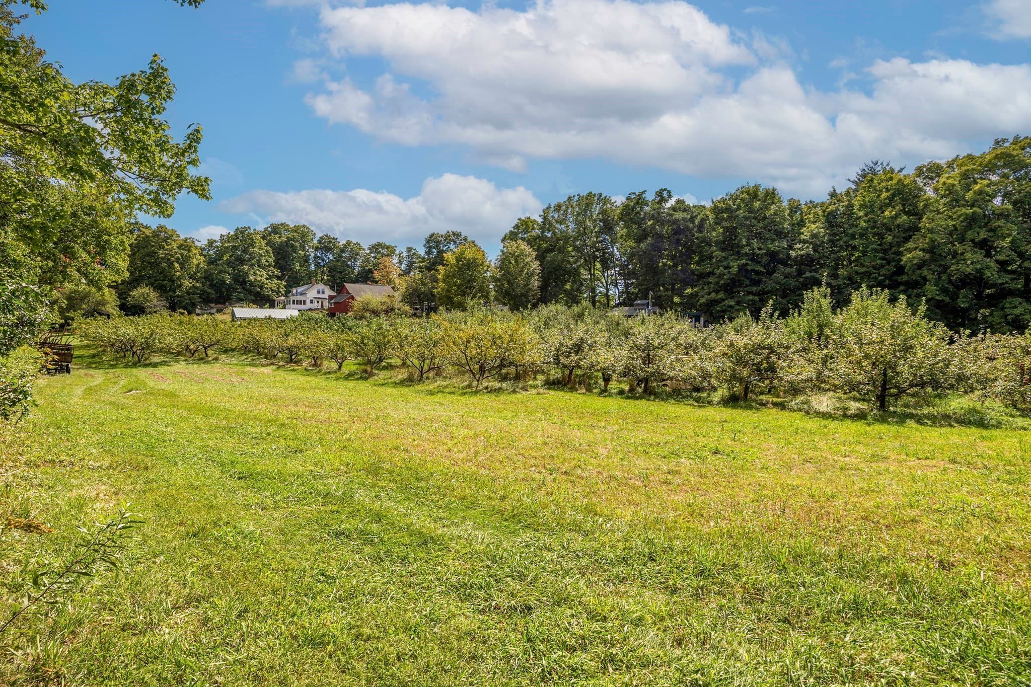 Single Family Residence at 37 Cottage Street, Belchertown MA 01007, Belchertown, photo 13 of 42