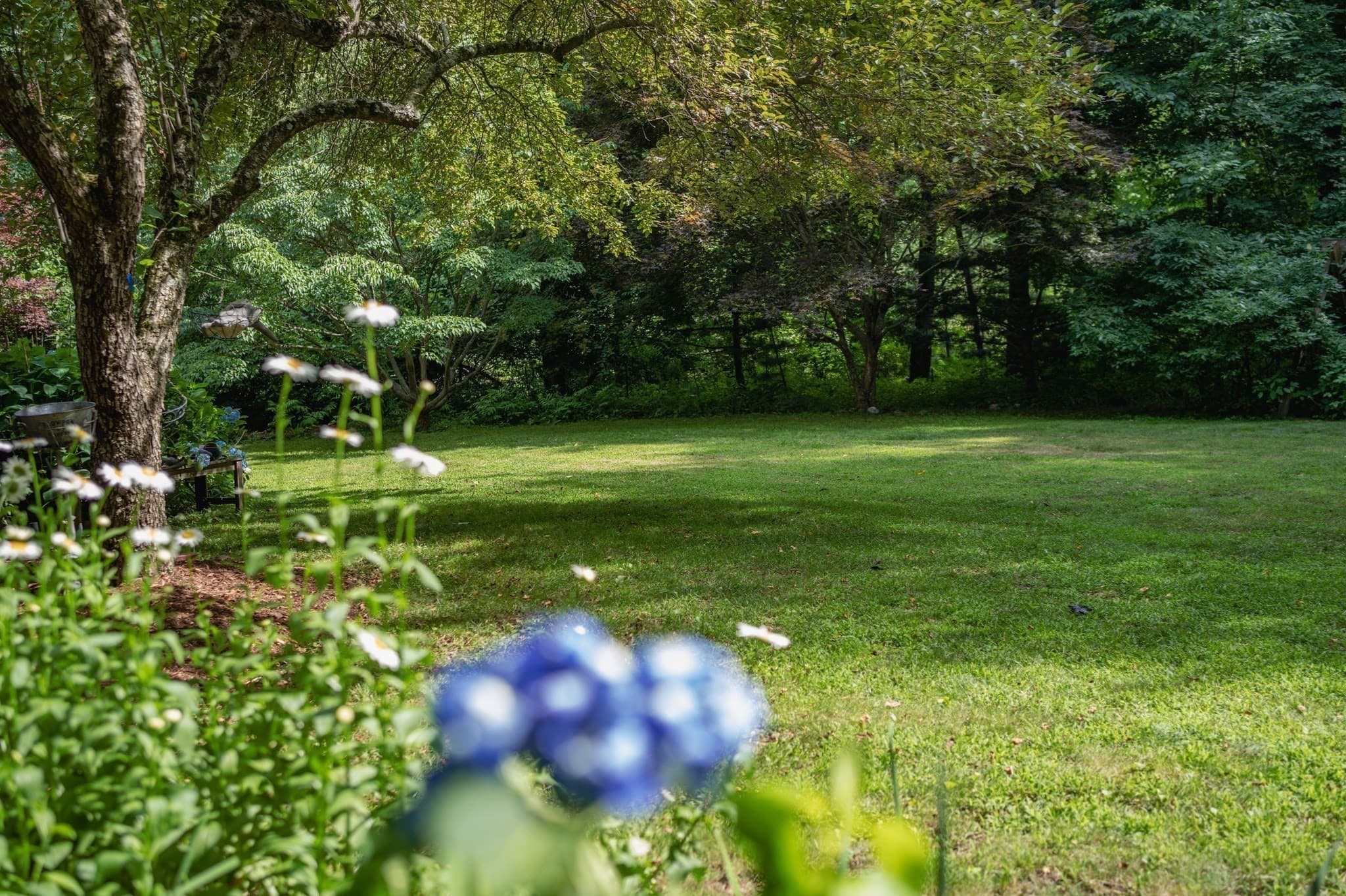 Single Family Residence at 7 Pond St, Hopkinton MA 01748, Hopkinton, photo 6 of 42