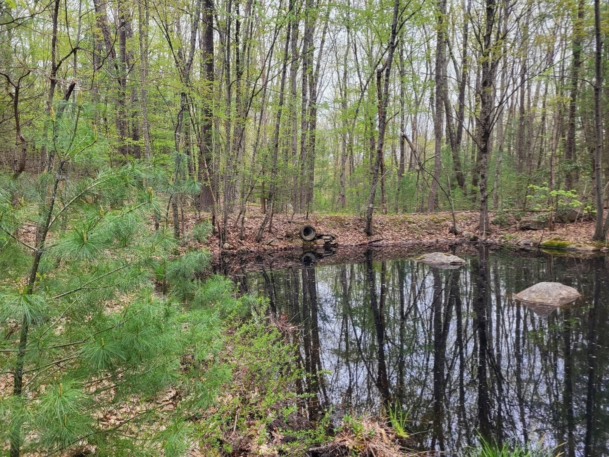 Residential at XO Pole Bridge Rd, Woodstock CT 06281, photo 13 of 32