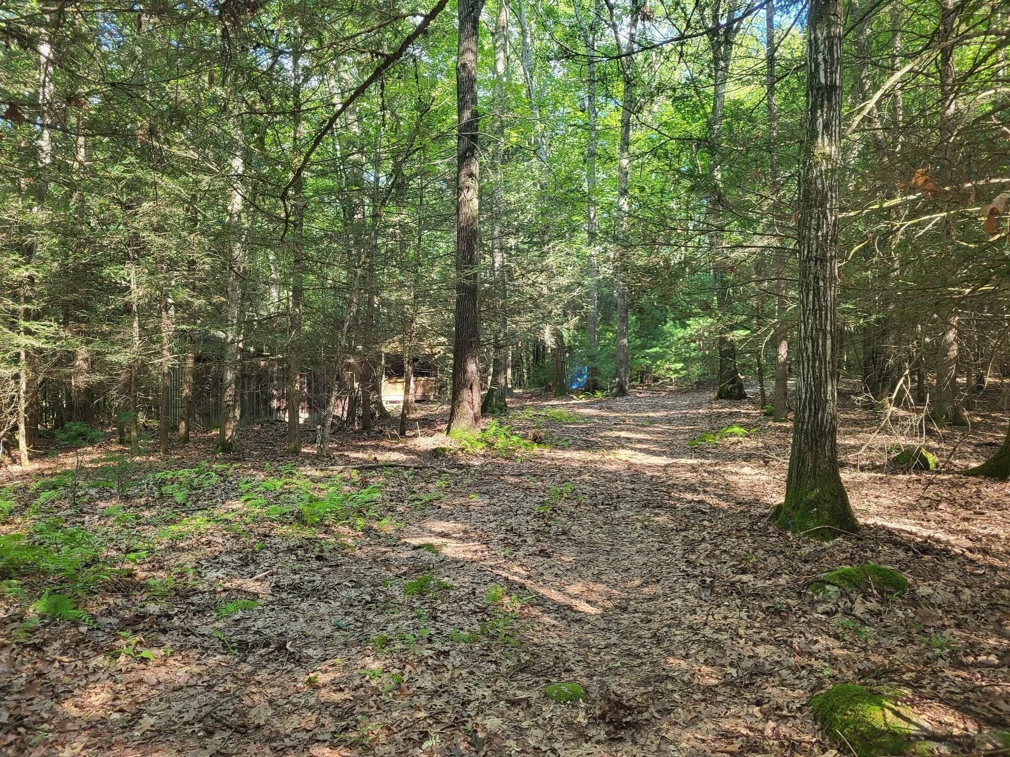 XO Pole Bridge Rd, Woodstock CT 06281