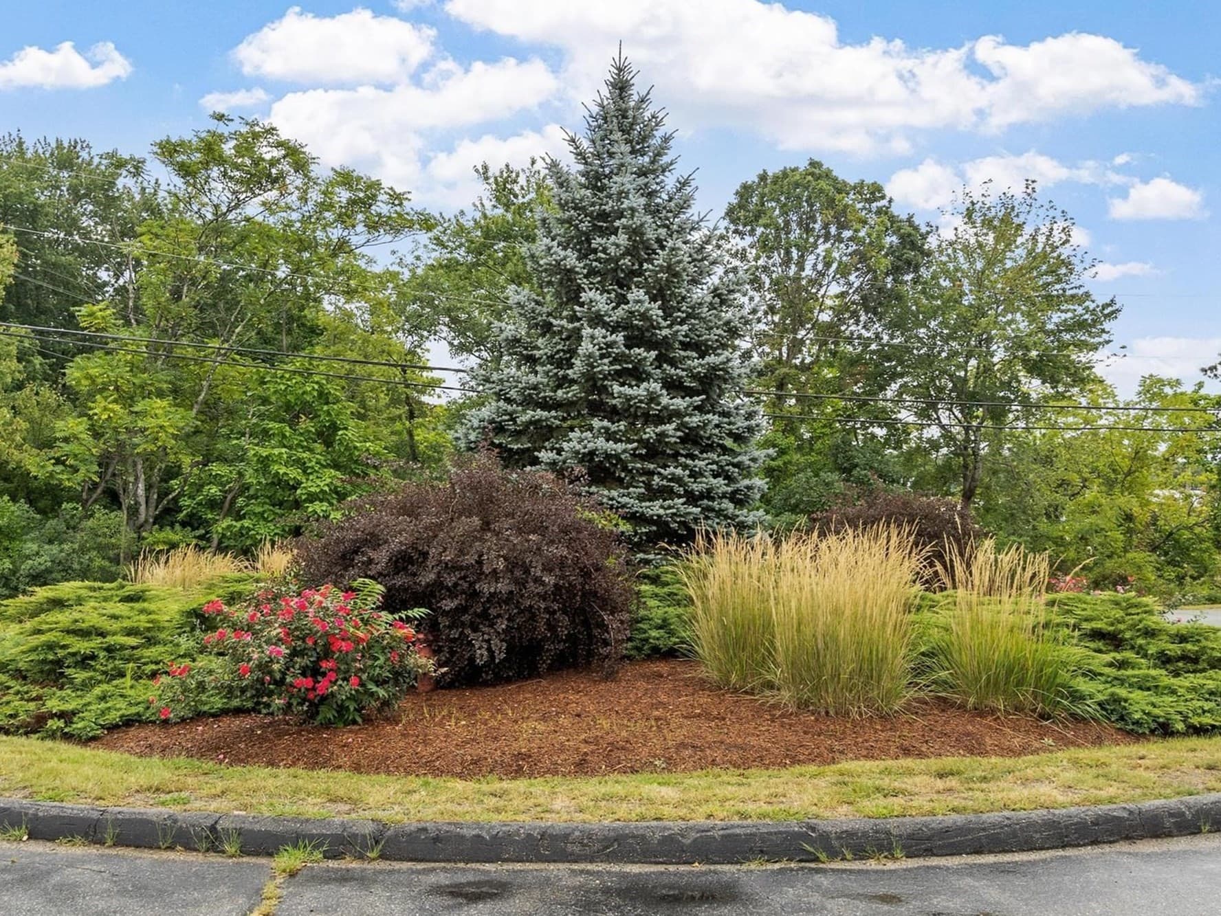 Condominium at 20B Washington Park Dr # 6, Andover MA 01810, Andover, photo 20 of 24