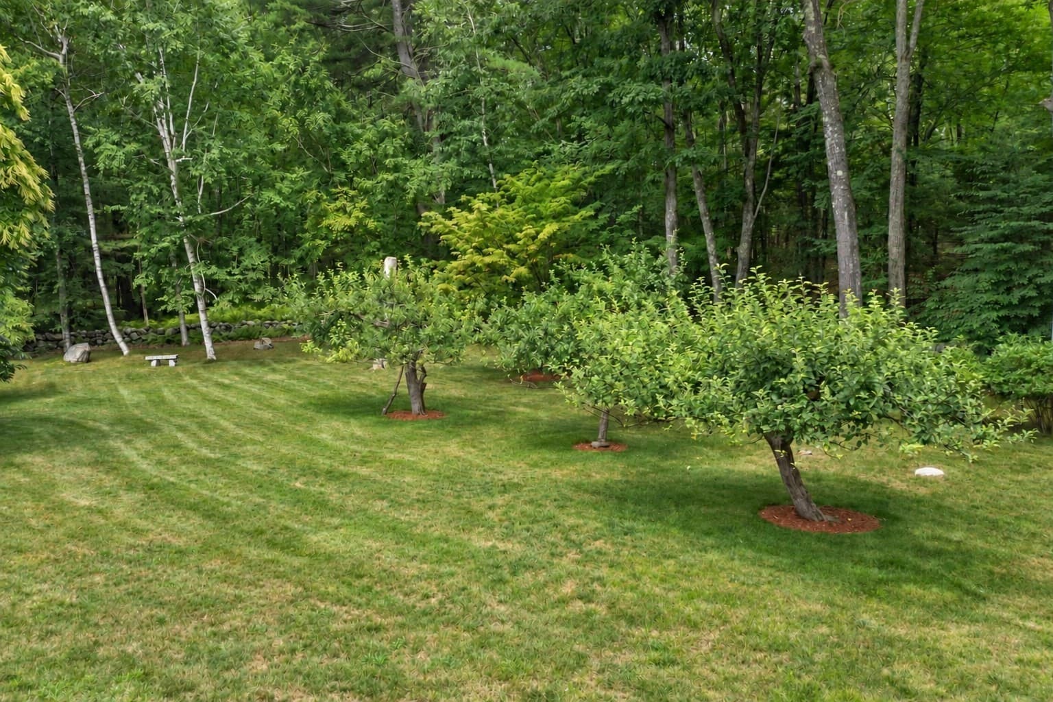 Single Family Residence at 2 Sutton Pl, Acton MA 01720, Acton, photo 41 of 42