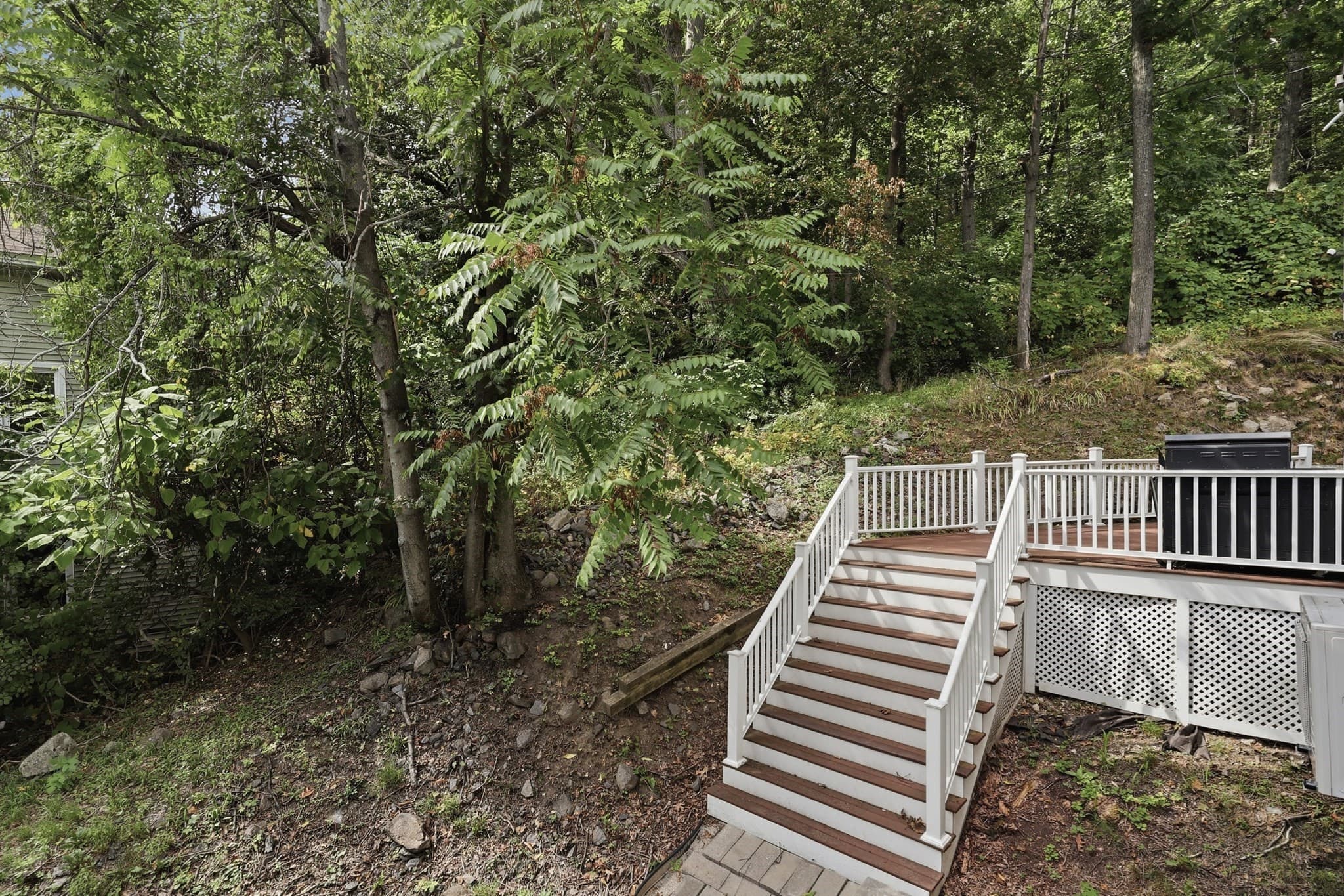 Single Family Residence at 29-A Chilmark Street, Worcester MA 01604, Worcester, photo 5 of 27