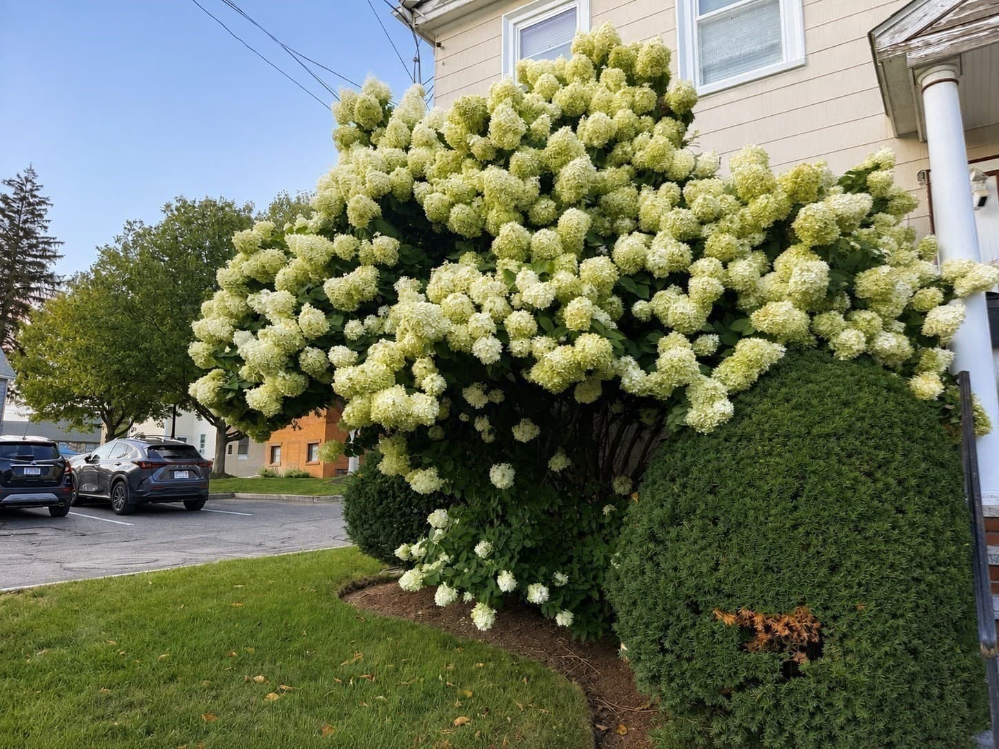 Condominium at 57 Pleasant St. # B, Watertown MA 02472, Watertown, photo 17 of 21