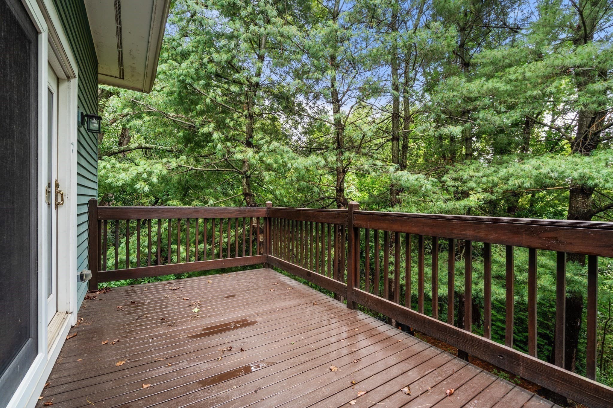 Condominium at 79 Beecher Pl # 5, Newton MA 02459, Newton, photo 28 of 30