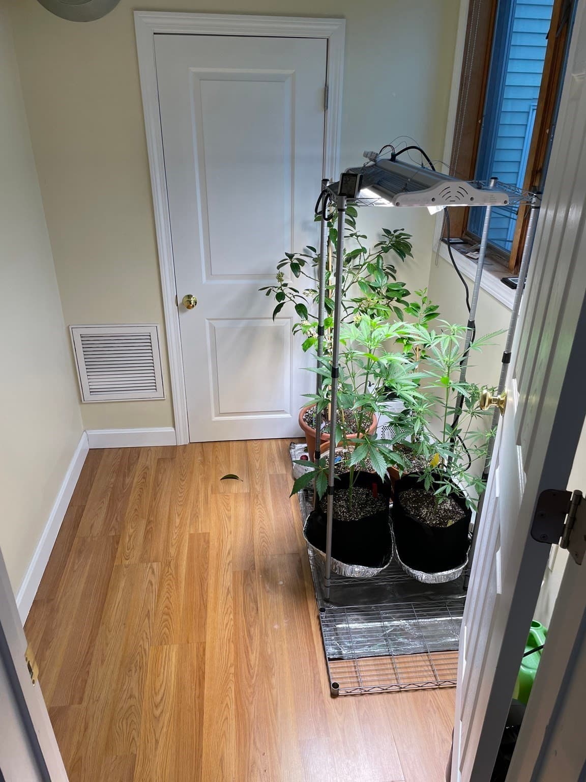 3 Family at 651 Bennington Street, Boston MA 02128, Boston, photo 20 of 36
