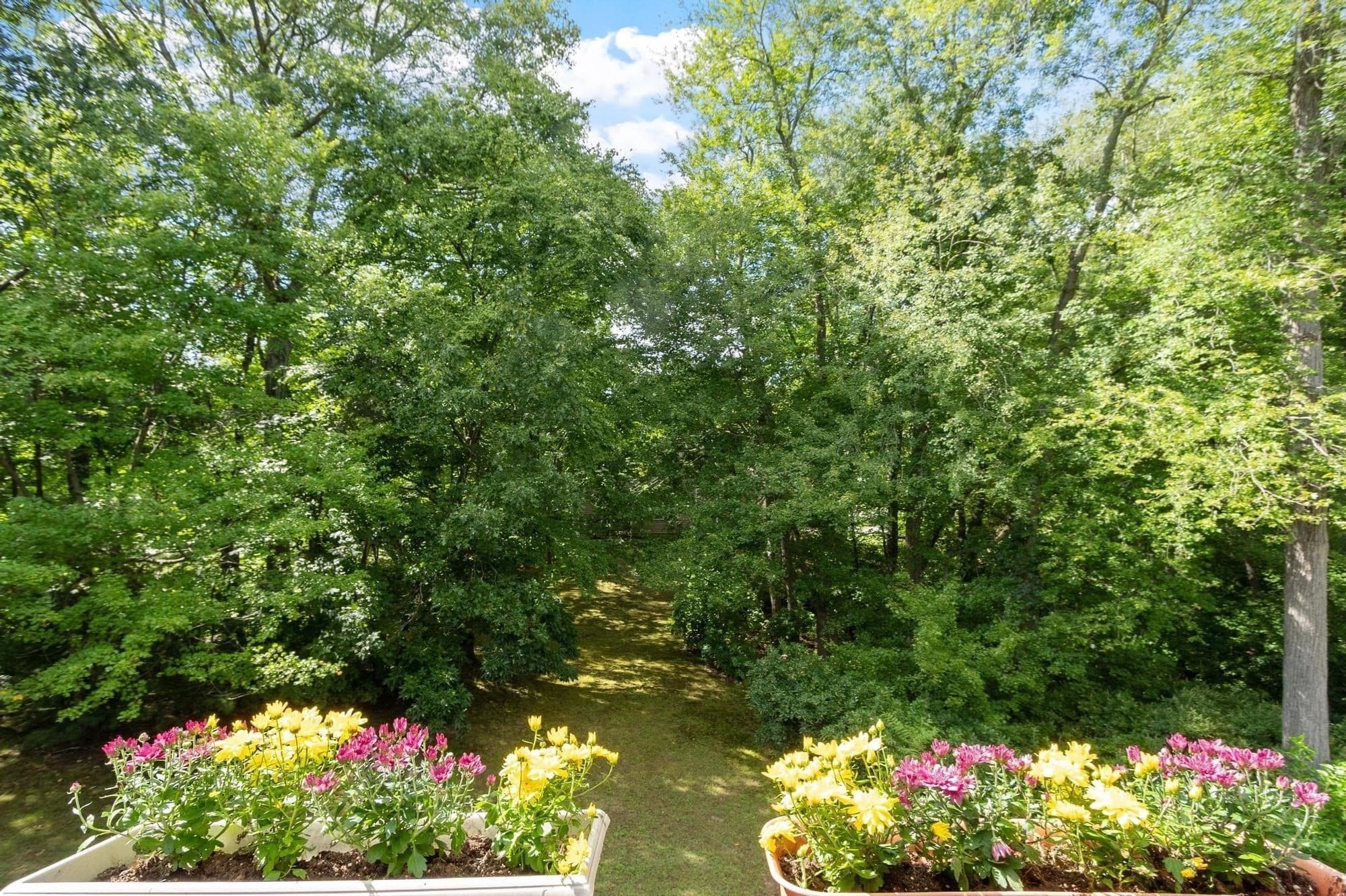 Condominium at 179 Bishops Forest Dr # 179, Waltham MA 02452, Waltham, photo 33 of 42