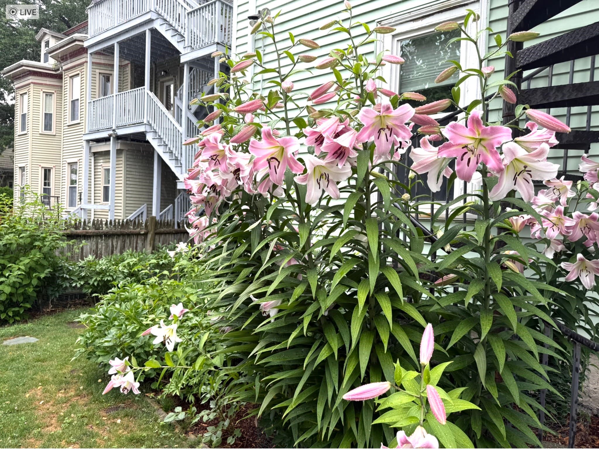 Condominium at 9 Peabody St # 9, Newton MA 02458, photo 18 of 21