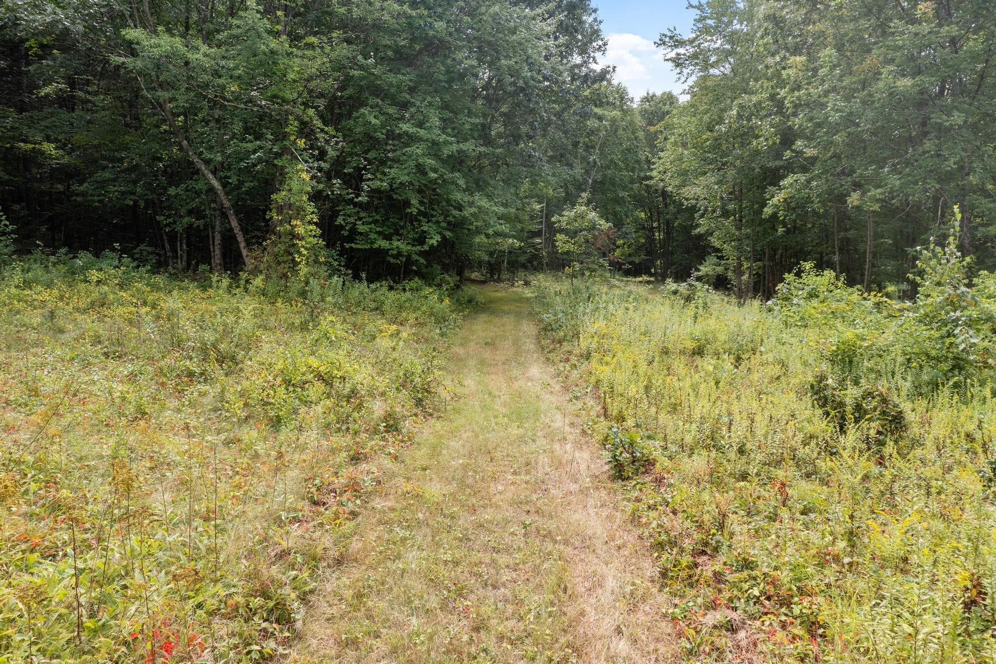Residential at 276 Middle Rd, Boxborough MA 01719, Boxborough, photo 6 of 12