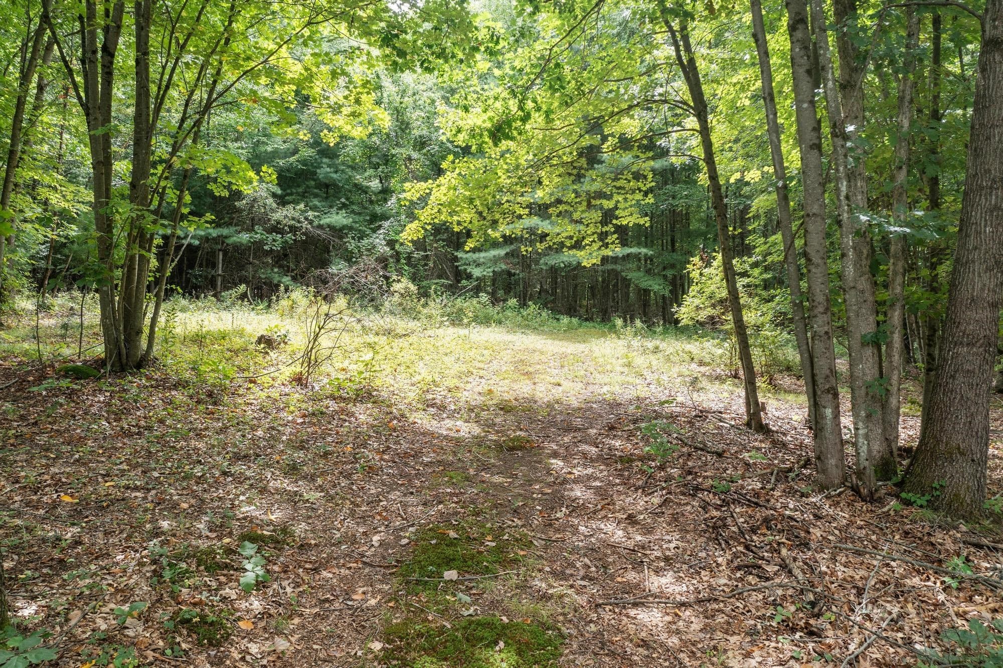 Residential at 276 Middle Rd, Boxborough MA 01719, Boxborough, photo 7 of 12
