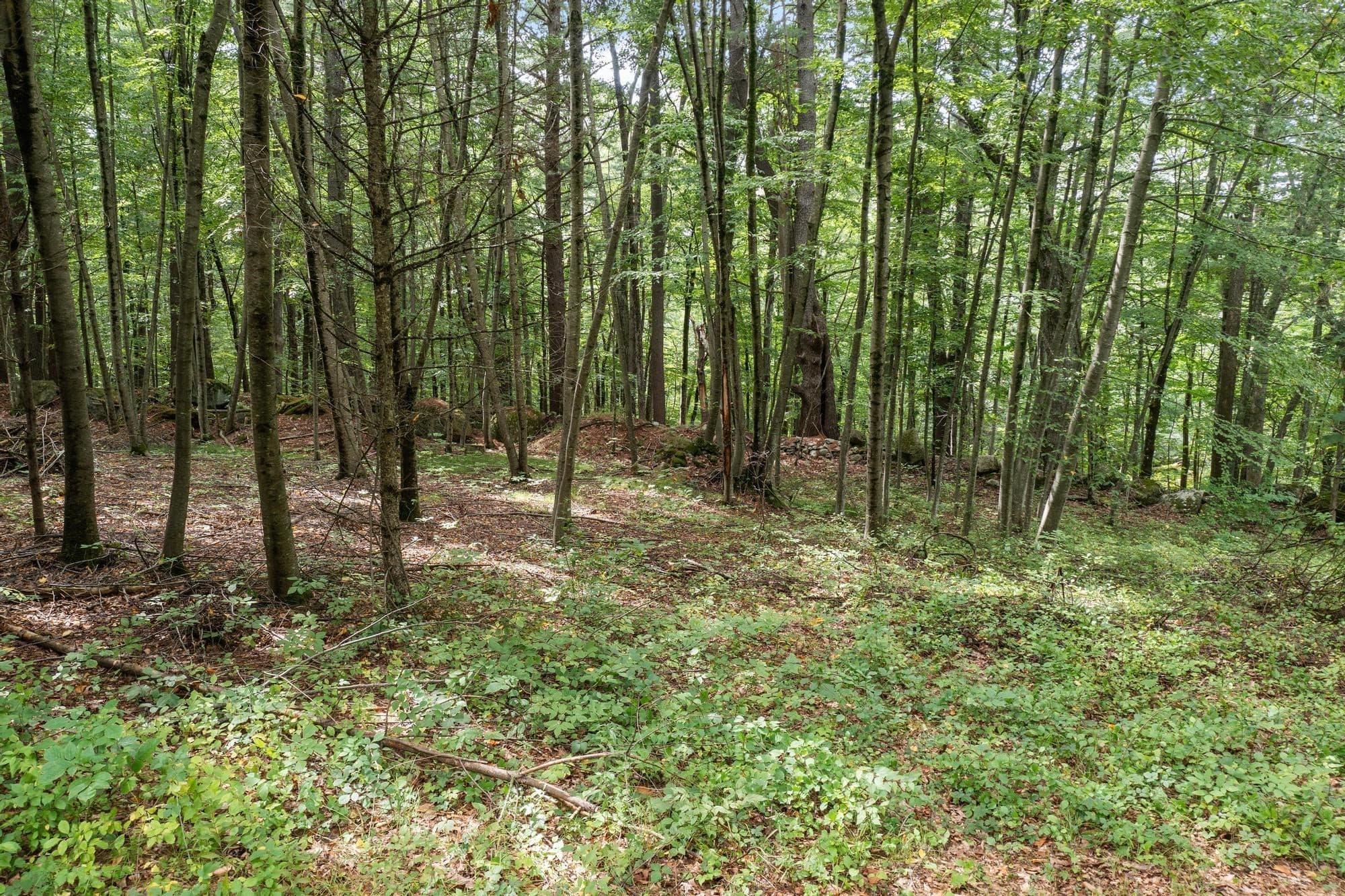 Residential at 276 Middle Rd, Boxborough MA 01719, Boxborough, photo 8 of 12