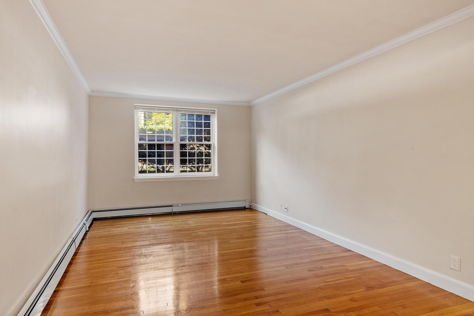 Condominium at 159 St Paul Street # 1, Brookline MA 02446, Brookline, photo 16 of 36