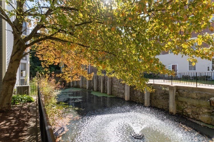Condominium at 7 S Stone Mill Dr # 403, Dedham MA 02026, Dedham, photo 5 of 28