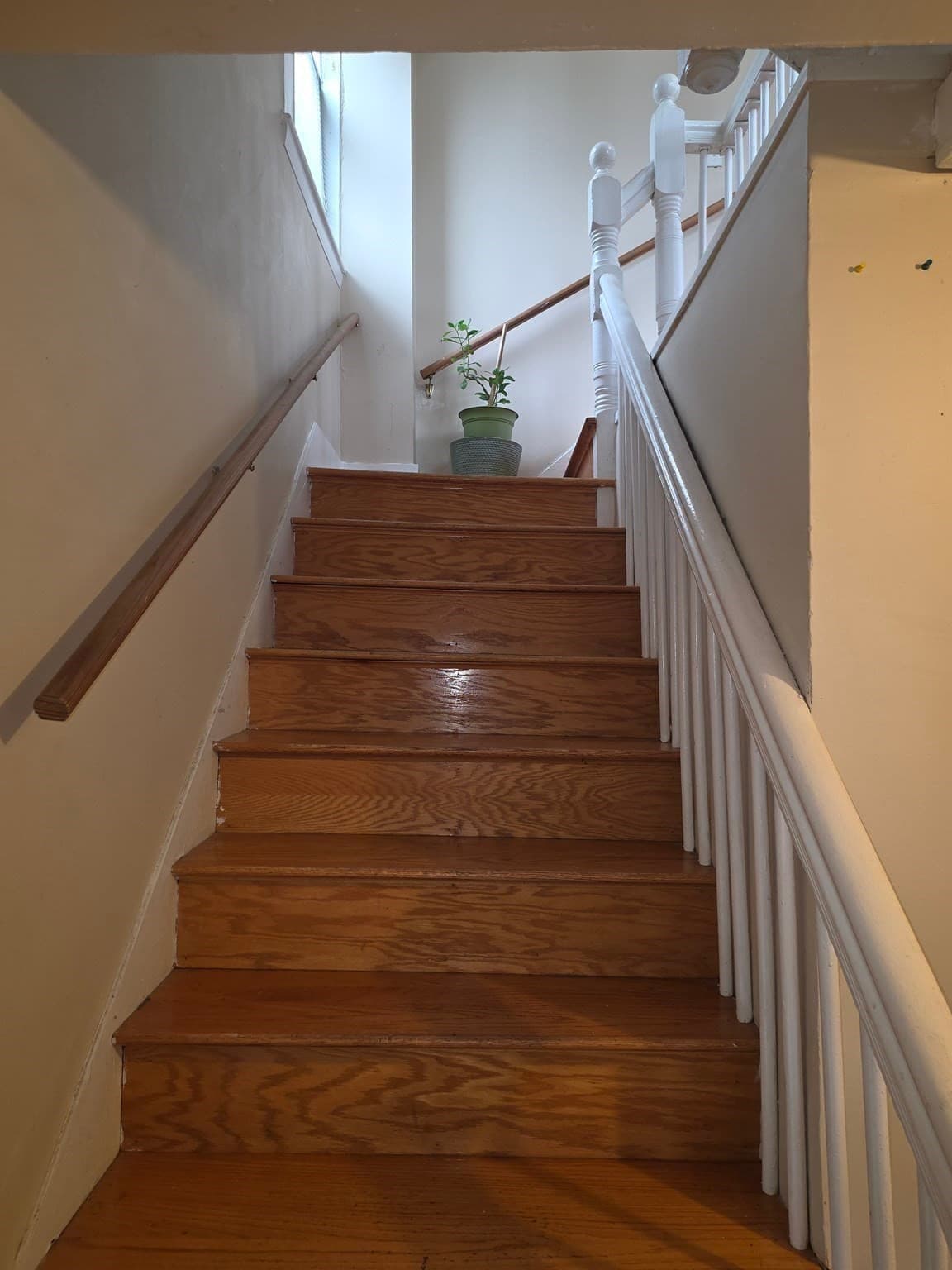 Multi Family at 120 Woodrow Ave, Boston MA 02124, photo 20 of 34