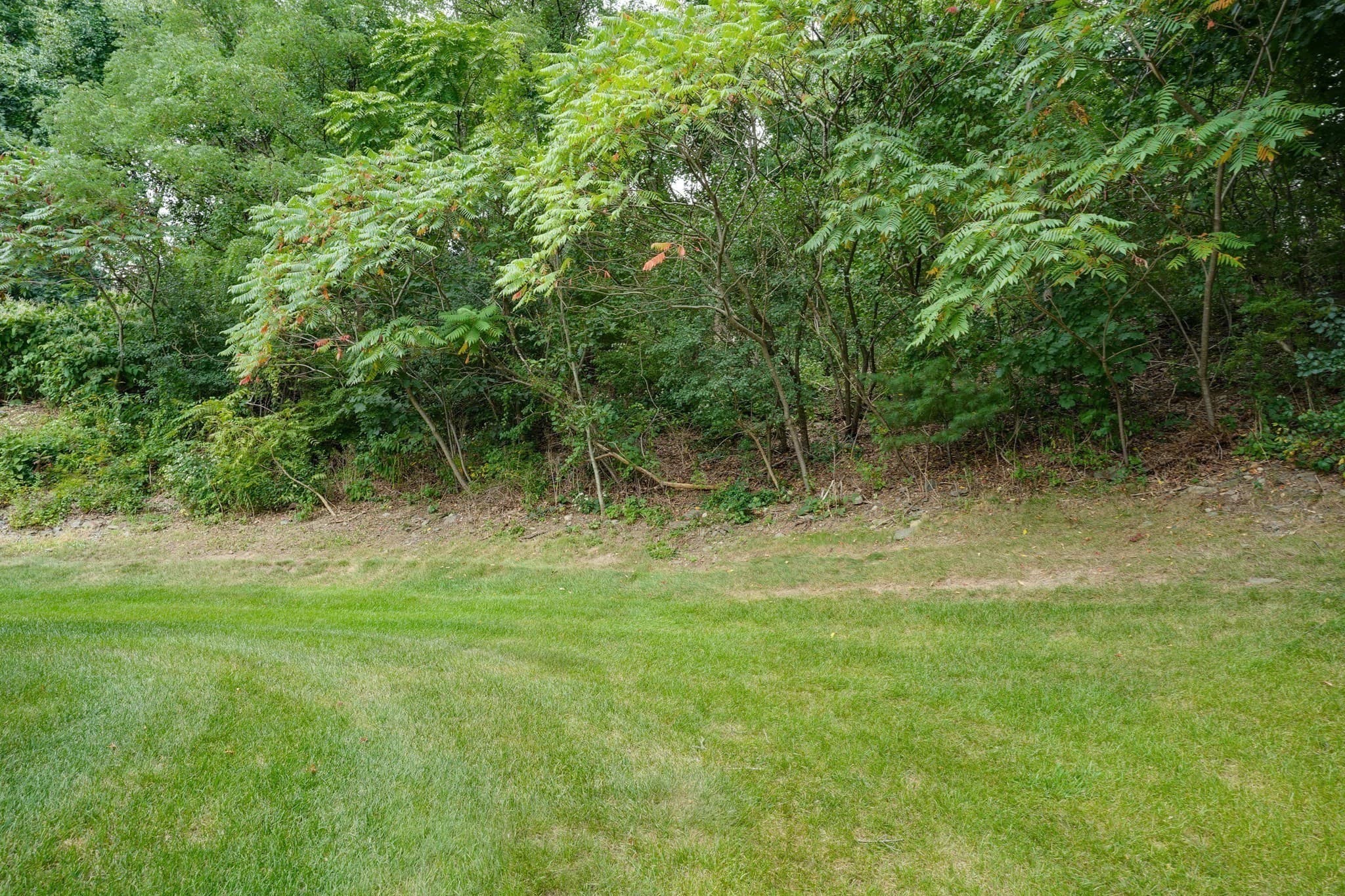 Single Family Residence at 3 Greenside Ln, Worcester MA 01609, Worcester, photo 22 of 25