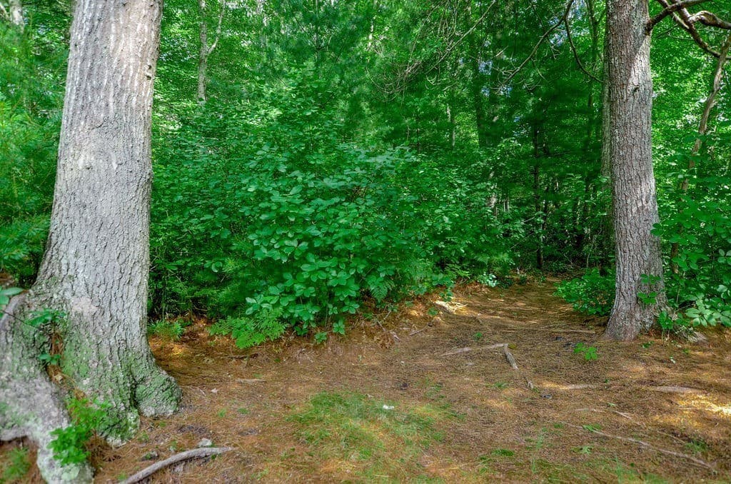 Single Family Residence at 352 Marion Road, Wareham MA 02571, Wareham, photo 27 of 31