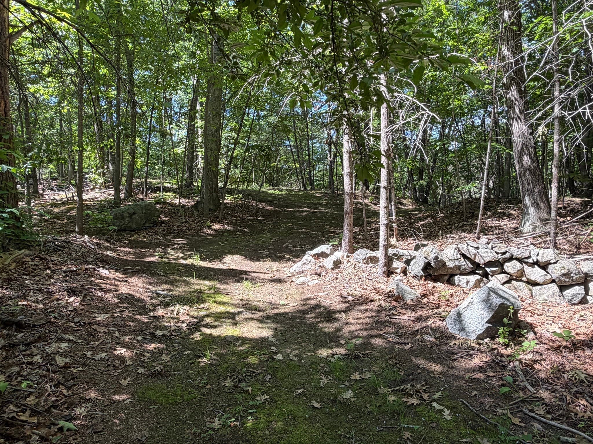 Single Family Residence at 19 Devonshire Road, Middleton MA 01949, Middleton, photo 10 of 41