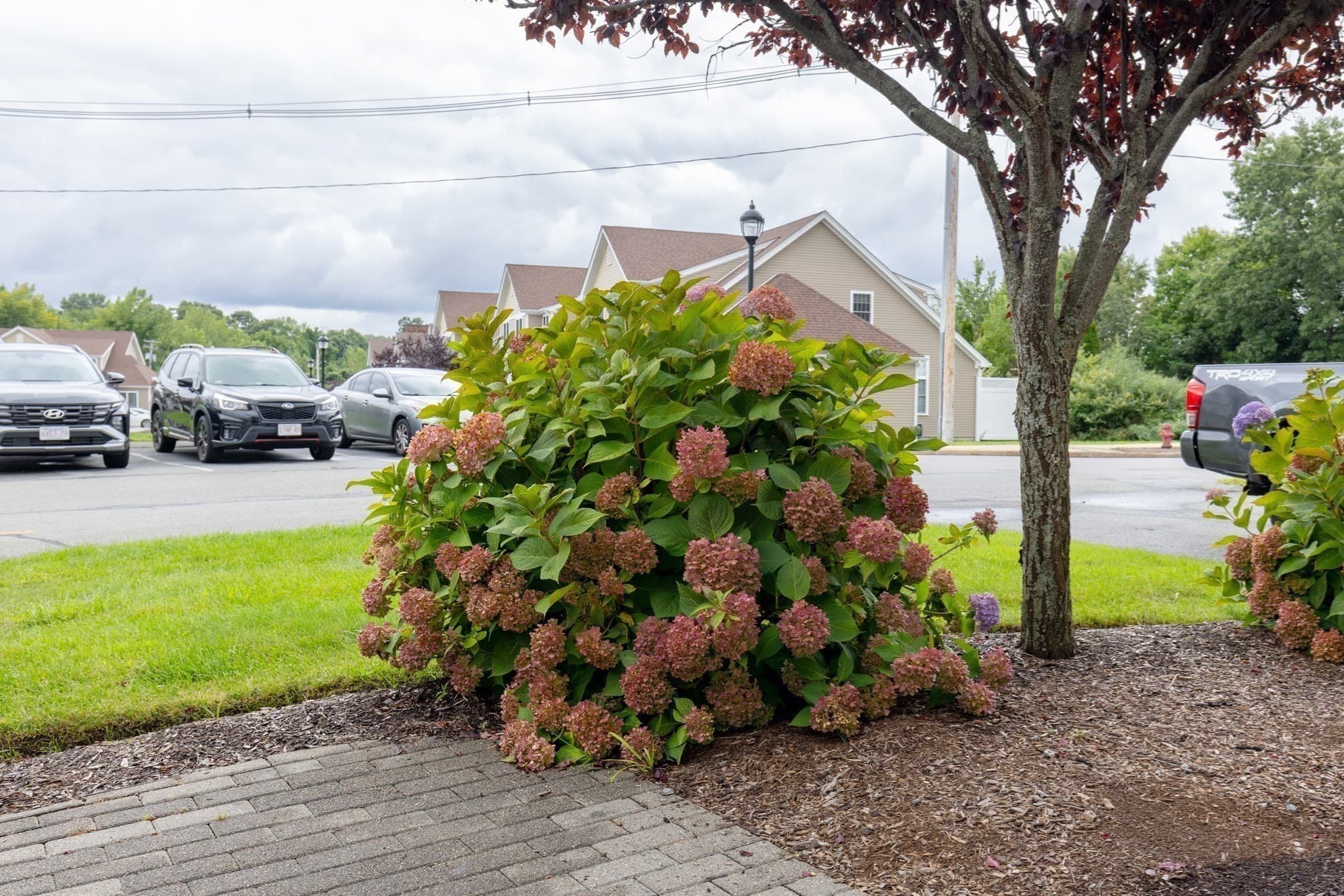 Condominium at 70 Endicott Street # 305, Norwood MA 02062, Norwood, photo 30 of 31