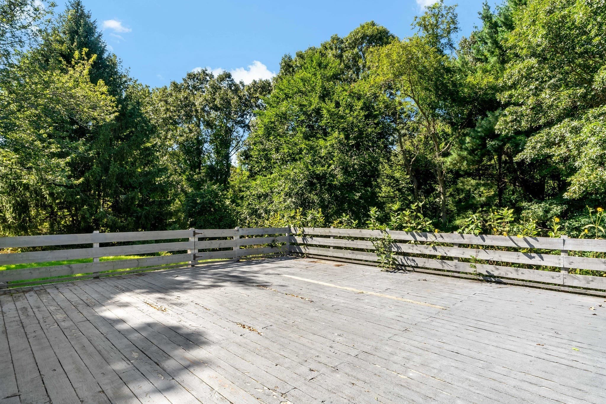 Equestrian at 84 Carpenter St, Rehoboth MA 02769, Rehoboth, photo 31 of 41