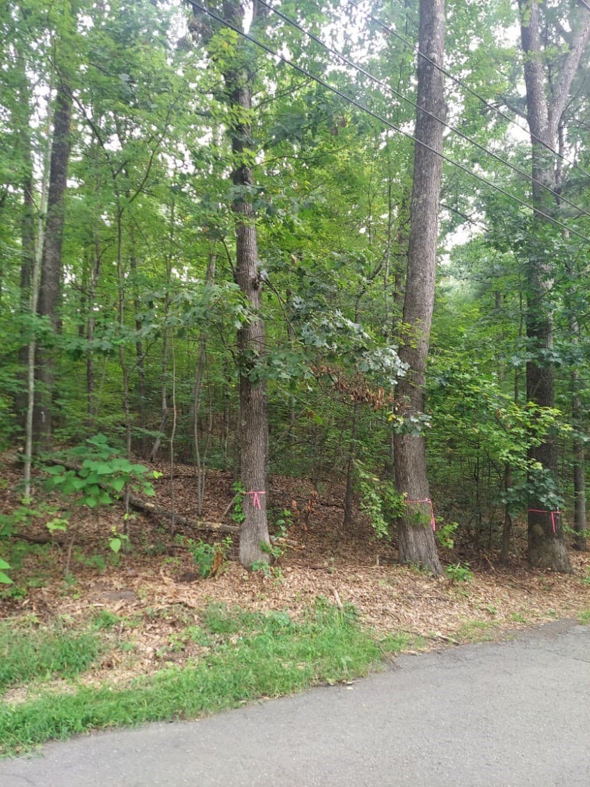 1005 Park Hill Road, Northampton MA 01062