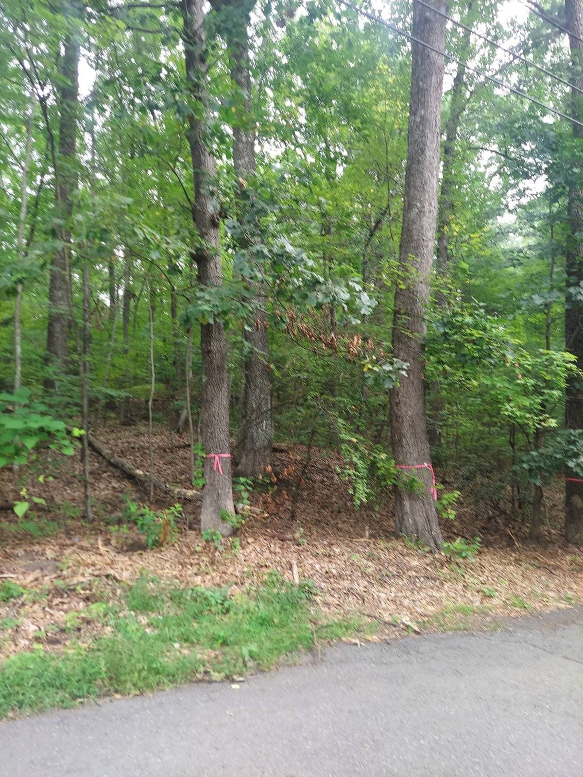 Residential at 1005 Park Hill Road, Northampton MA 01062, Northampton, photo 4 of 4