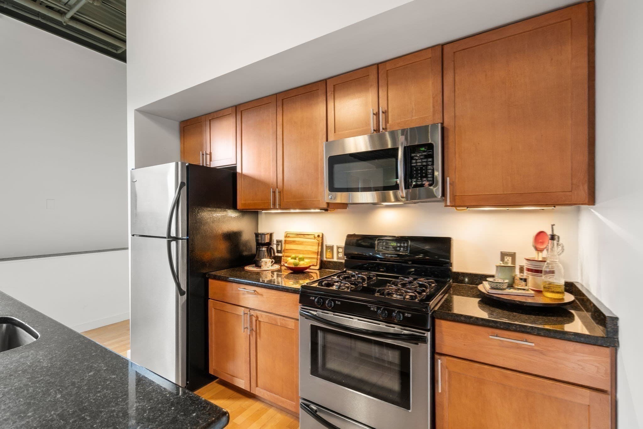 Condominium at 1 Envelope Terrace # 211, Worcester MA 01604, Worcester, photo 3 of 30
