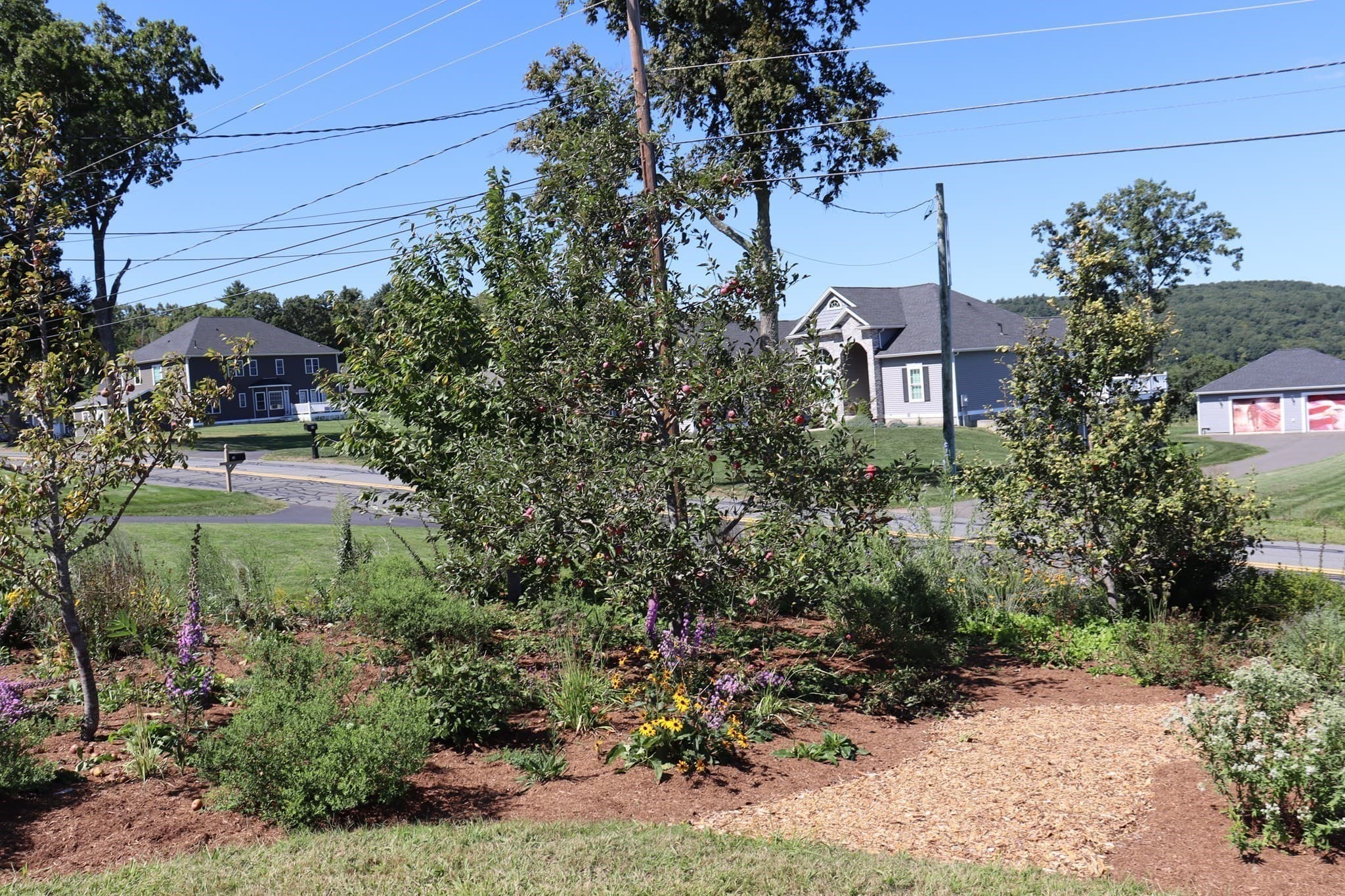 Single Family Residence at 95 Huntington Rd., Hadley MA 01035, Hadley, photo 7 of 42