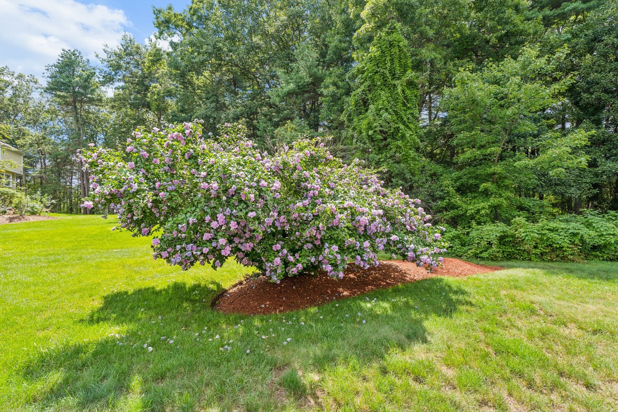 Single Family Residence at 5 Buckskin Lane, Westford MA 01886, Westford, photo 42 of 42