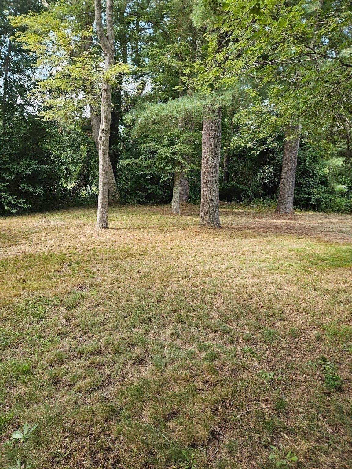 Single Family Residence at 115 Acushnet Rd, Mattapoisett MA 02739, Mattapoisett, photo 26 of 40