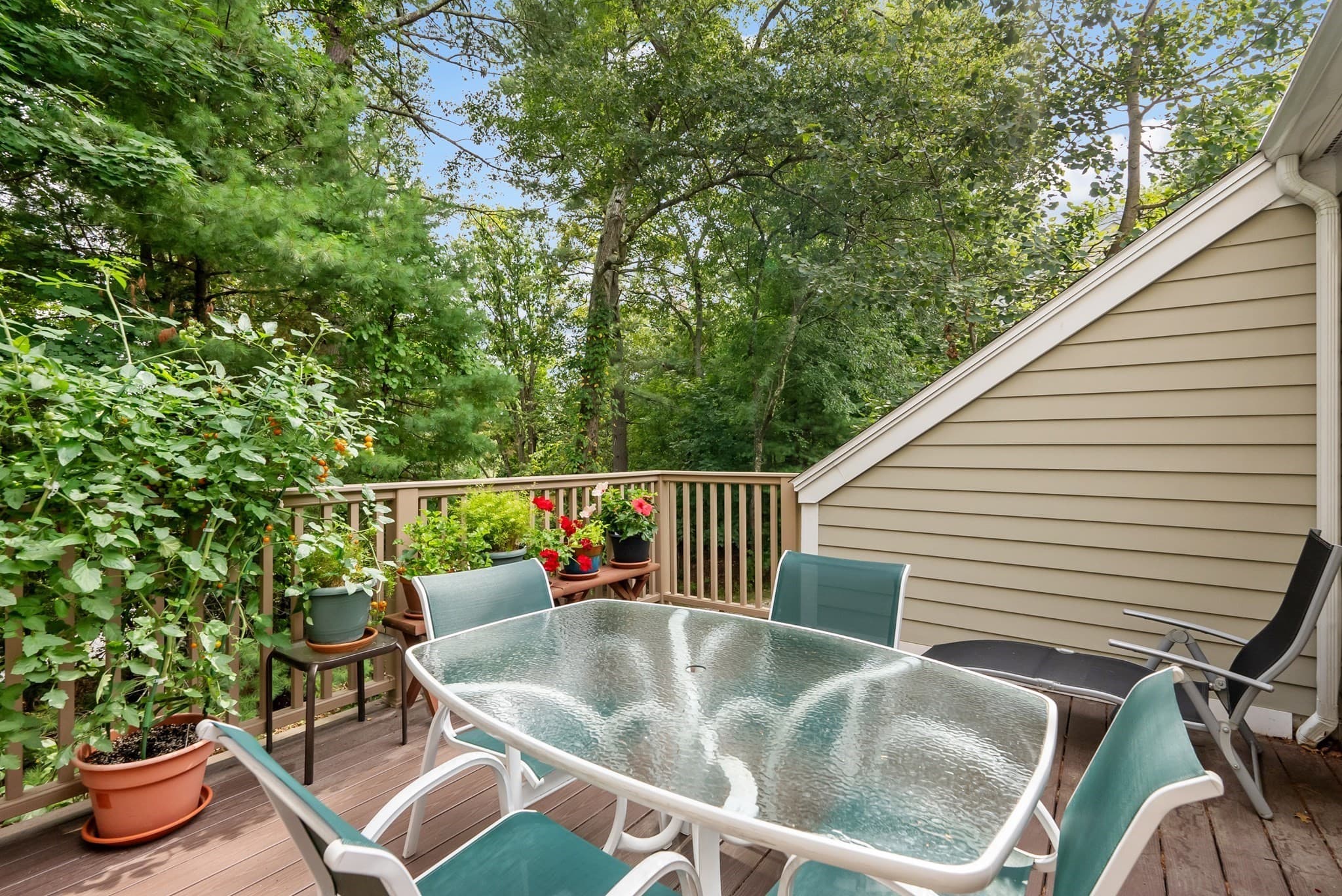 Condominium at 23 Fifer Ln # 23, Lexington MA 02420, Lexington, photo 13 of 29