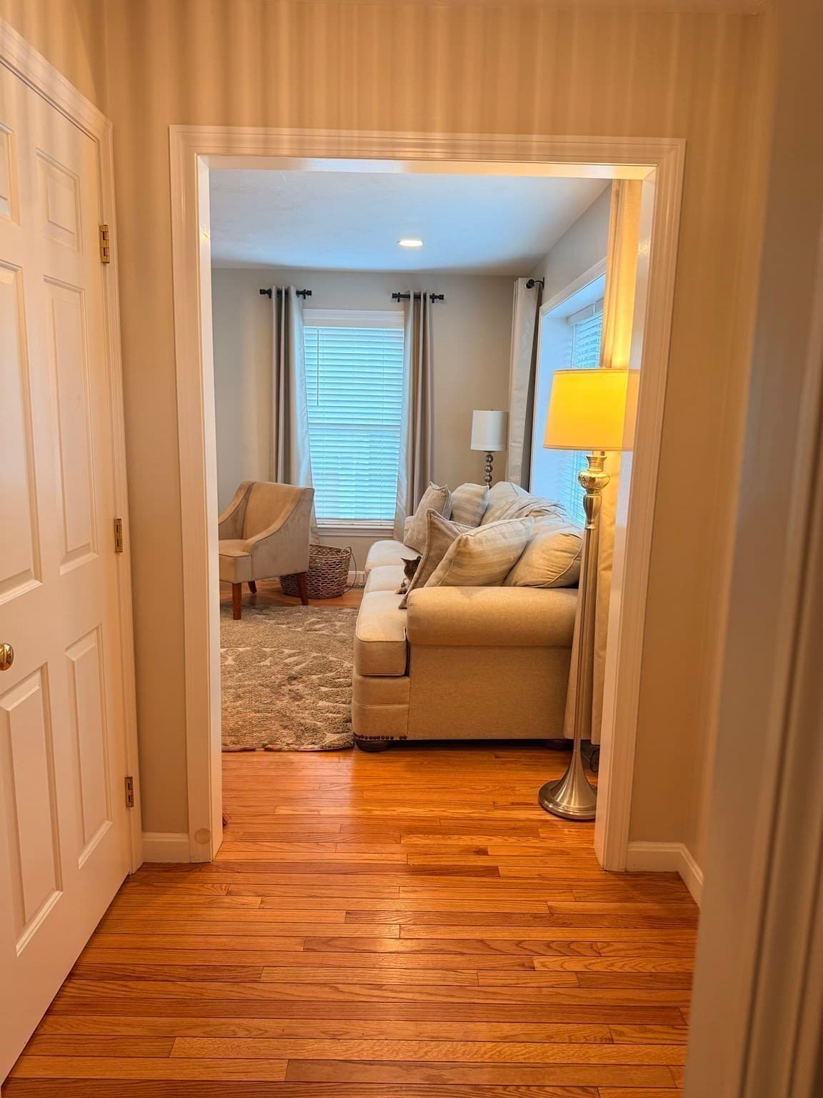 Condominium at 646 Bedford Street # A8, Whitman MA 02382, Whitman, photo 23 of 40