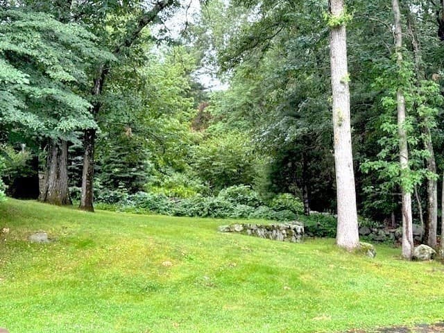 Single Family Residence at 40 Woodfall Rd, Belmont MA 02478, Belmont, photo 32 of 34