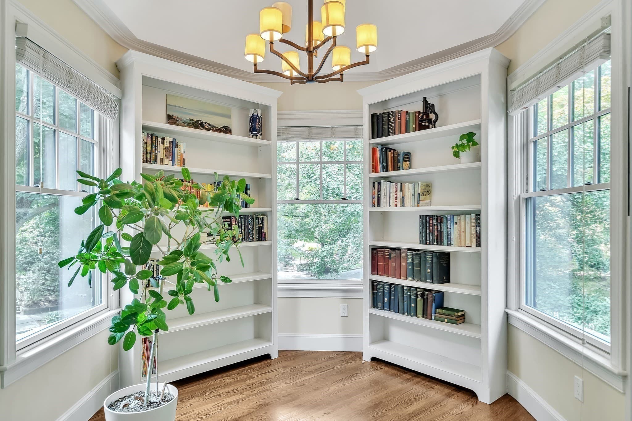 Condominium at 131 Winchester St # 131, Brookline MA 02446, Brookline, photo 7 of 23