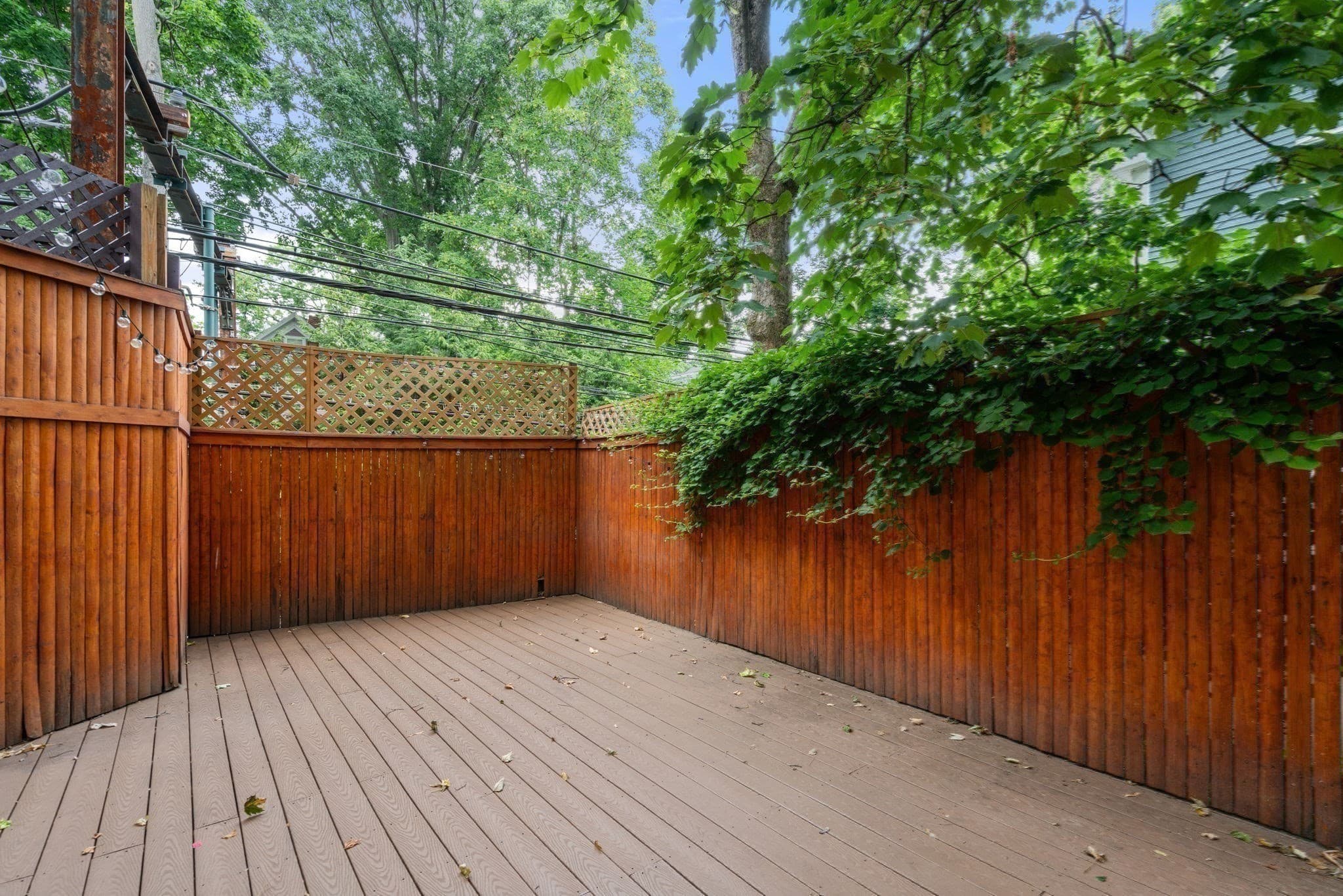 Condominium at 50 Cameron Street # 50, Brookline MA 02445, Brookline, photo 20 of 23