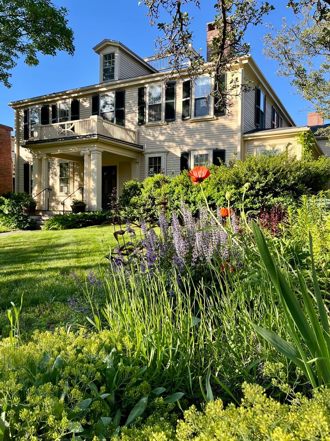 Condominium at 64 Bartlett St # 4, Boston MA 02119, Boston, photo 29 of 35