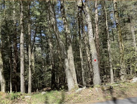 Residential at 0 Burt Hill Rd Parcel 16, Tolland MA 01034, Tolland, photo 2 of 3